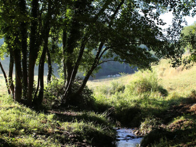 Le ruisseau des Blaches