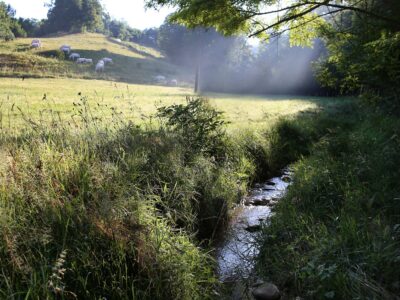 Ruisseau de Combe Moirans