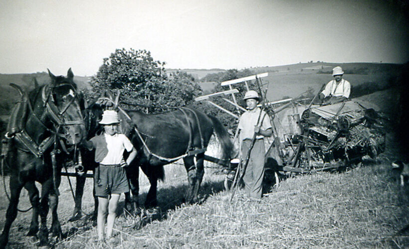 Les moissons à Saint-Michel avec la moissonneuse-lieuse tirée par des chevaux, août 1939 - De gauche à droite : Pierre, Paul et Antoine CHAMPON.