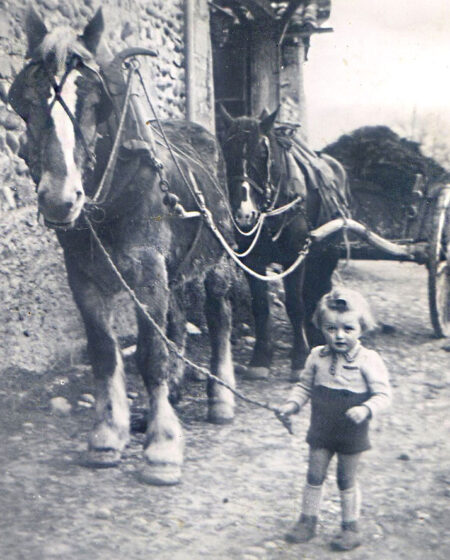 Jean CHAMPON, tenant une longe à la main pour guider les chevaux de son papa, qui tirent un tombereau de fumier. La Combe, printemps 1941.